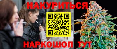 шишки Можга