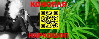 шишки Можга