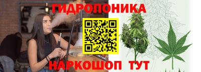 дживик Моздок