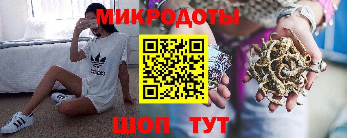 Долгопрудный  Галлюциногенные грибы Psilocybe  Вход с VPN 