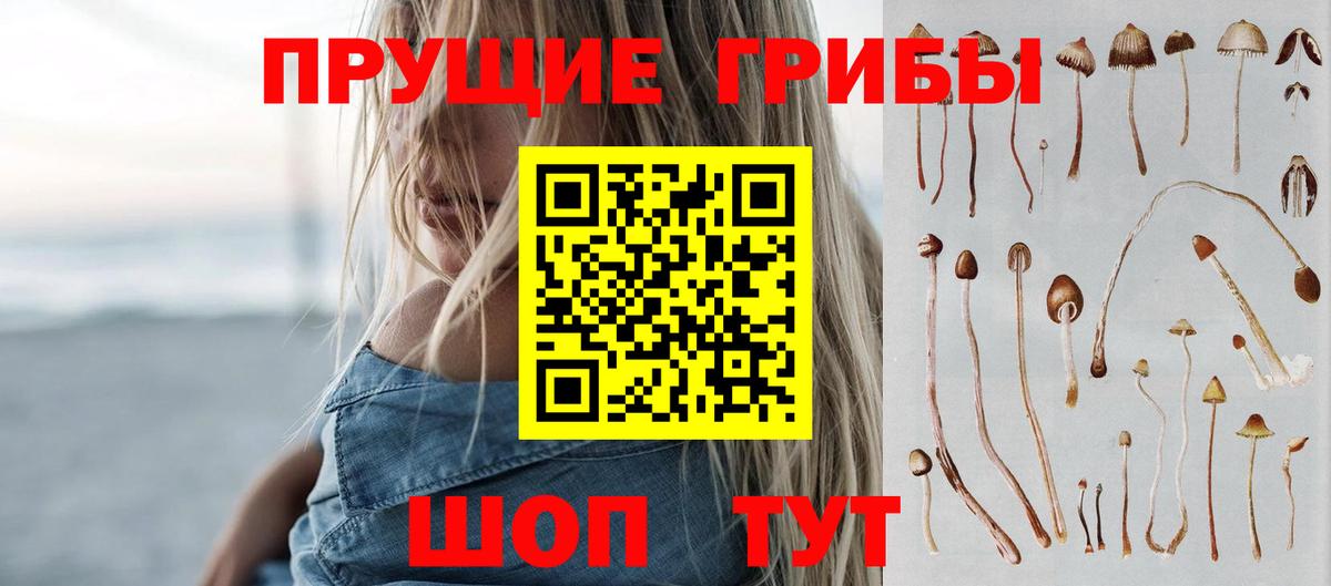 Псилоцибиновые грибы ЛСД Долгопрудный